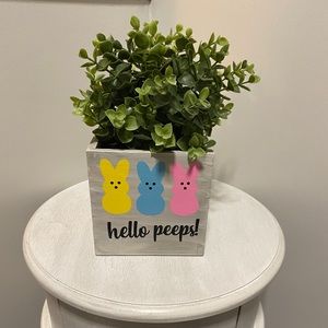 Wood Easter Bunny Hello Peeps Box 5x5 Decor